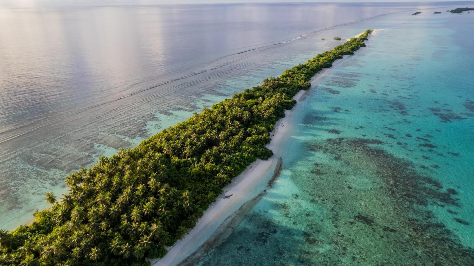 Whaleshark Beach Dhigurah  Exterior foto